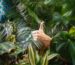 Photo by Katya Ross on Unsplash