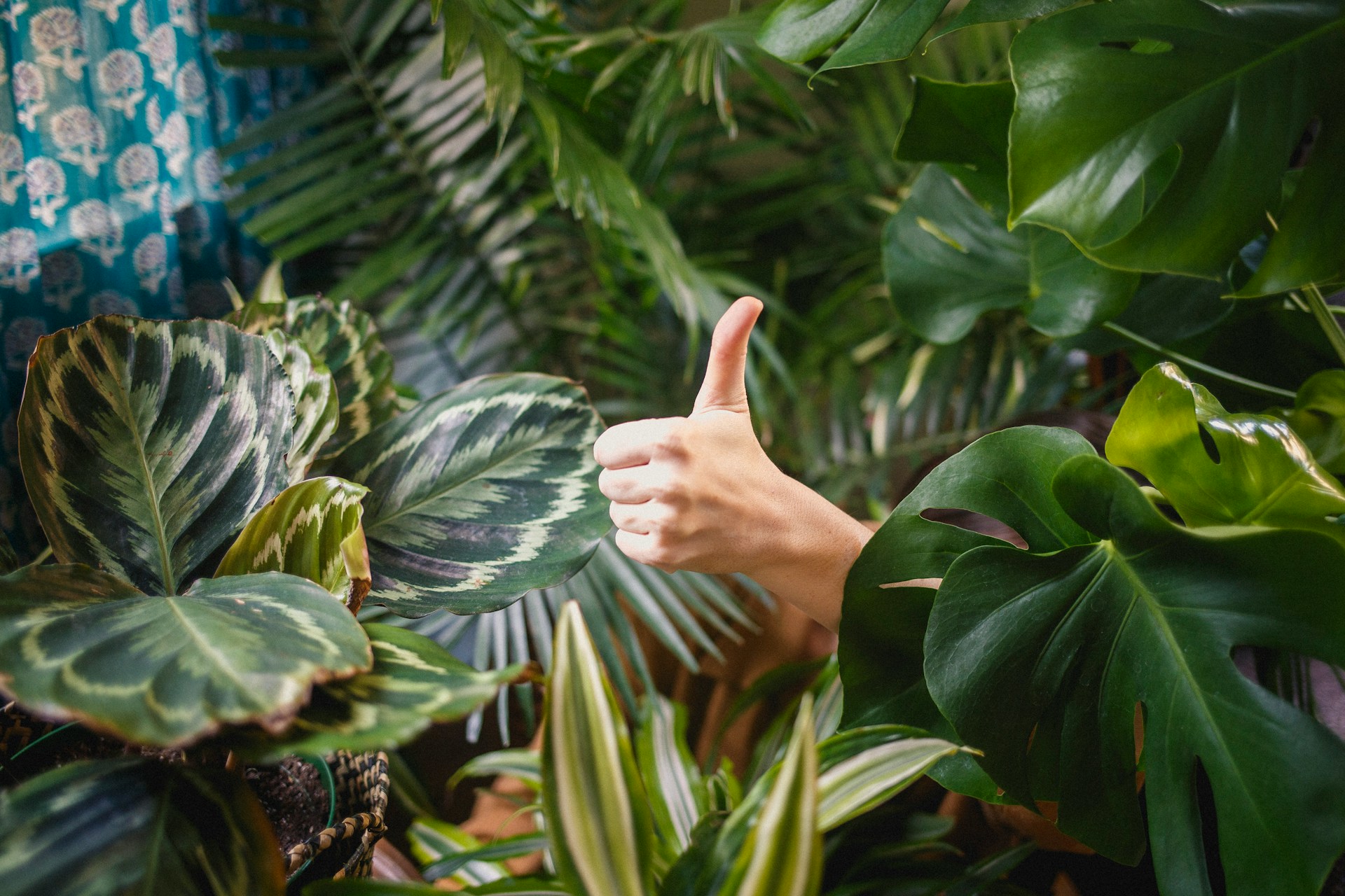 Photo by Katya Ross on Unsplash